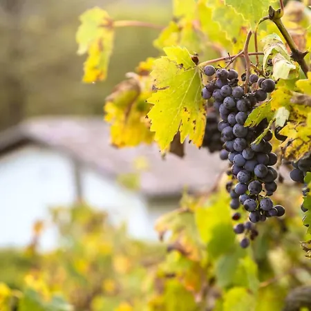 Casale Di Nicolò Apartamento